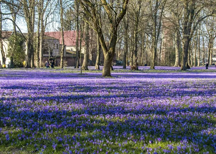 Zaunkoenig Lägenhet Böhl